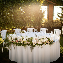 Organizasyon Hizmeti